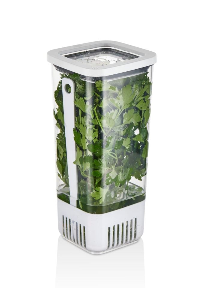 Technow Vip Ahmet VP-007 Suda Yeşillik Saklama Kabı 1.7 Litre