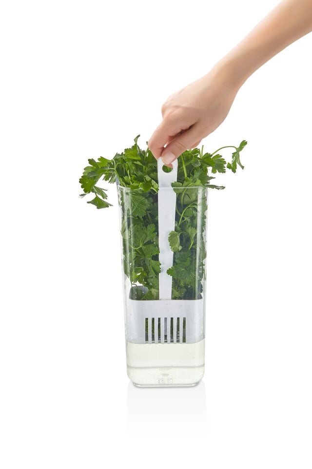 Technow Vip Ahmet VP-007 Suda Yeşillik Saklama Kabı 1.7 Litre