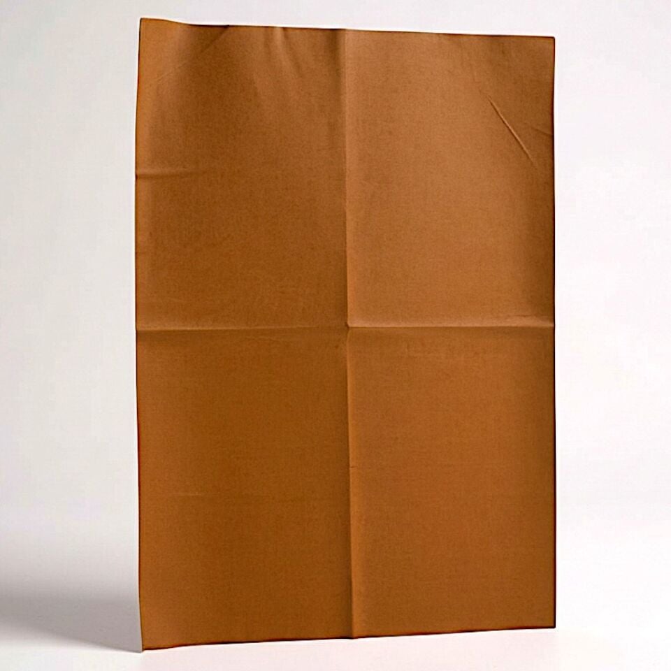 Technow Araç LÜKS Güderi Bez Oto Cam ve Kaporta Torpido Temizleme Araba Kurulama Bezi 50X70 cm