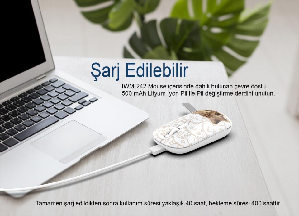 Inca IWM-242K Bluetooth+Wireless Double Mod Rechargeable Silent Mouse